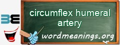 WordMeaning blackboard for circumflex humeral artery